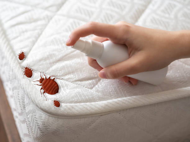 Best Pest Control for Multi-Family Homes  in Clay, AL